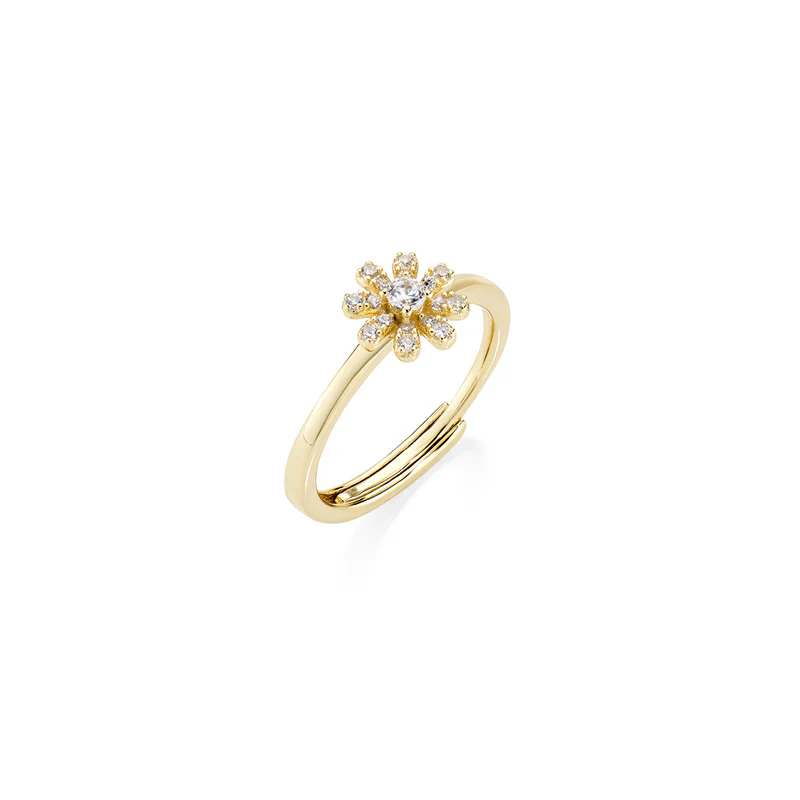 Anello Amen ANFIPGBZ2