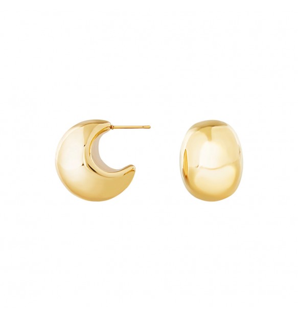 Orecchini Breil Hoop TJ3529