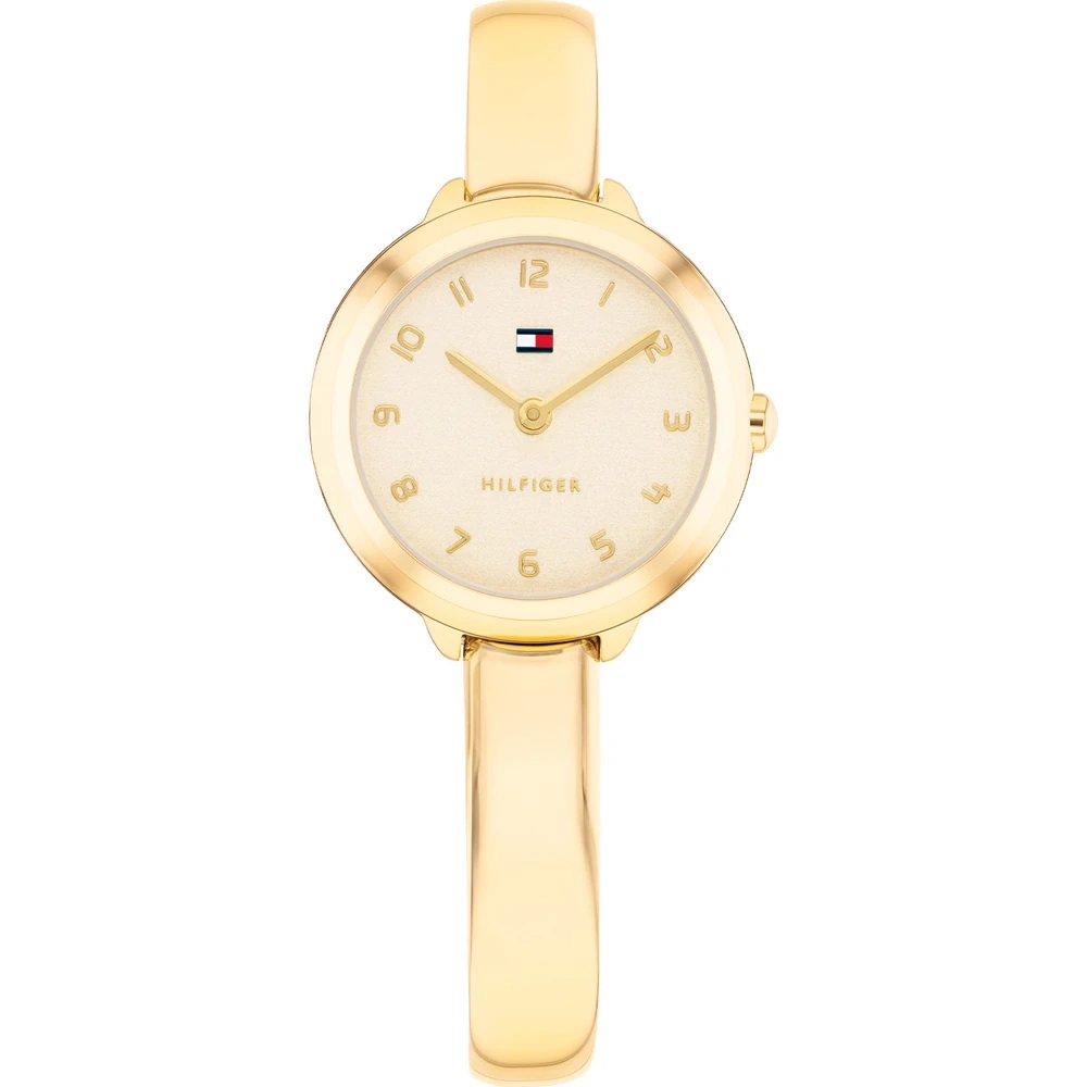 Orologio acciaio Tommy Hilfiger Demi Bangle 1782895